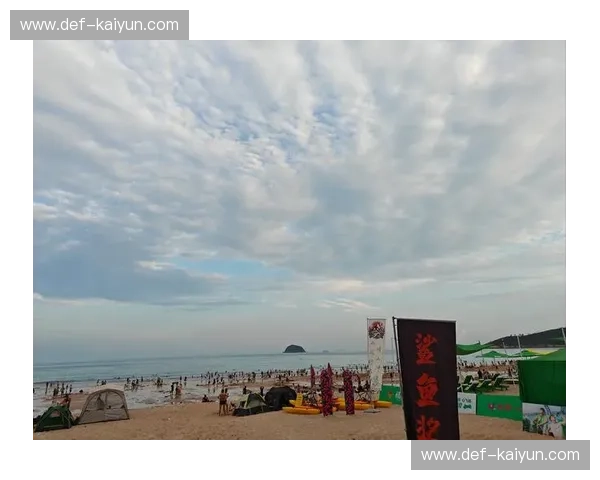 冲浪包厢：把海带进城市的微型海岸